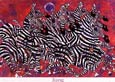 zebra2.jpg
